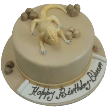 Chameleon Cake