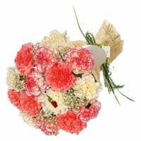 10 Mixed Colored Carnations