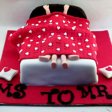 Bride Groom Adult Cake