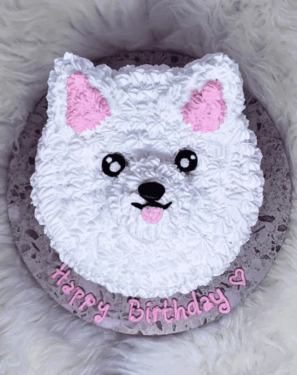 Pomeranian Face Cake