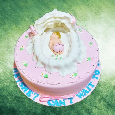 Welcome New Born Baby Cake