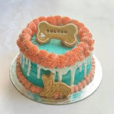 Dog Birthday Treat