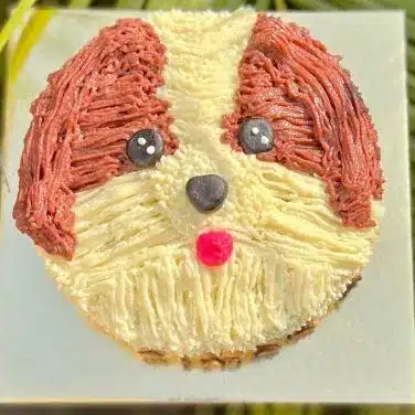 Shihtzu Face Cake